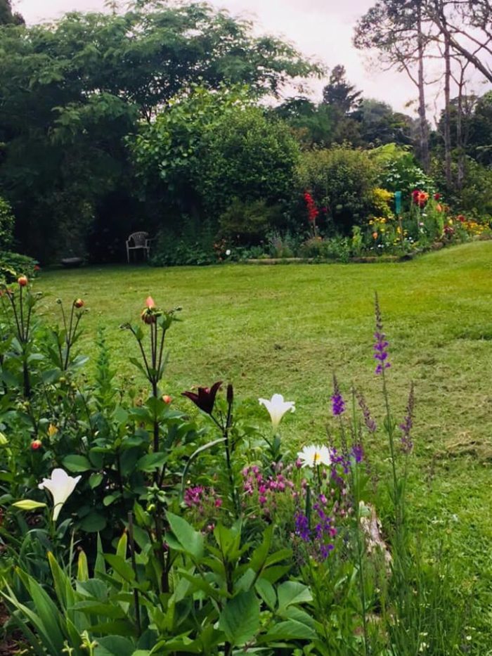 Restoring a Neglected Family Garden - Fine Gardening