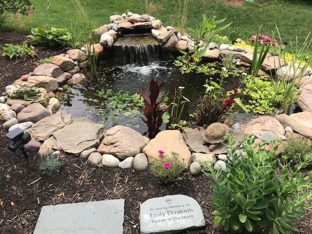 garden pond