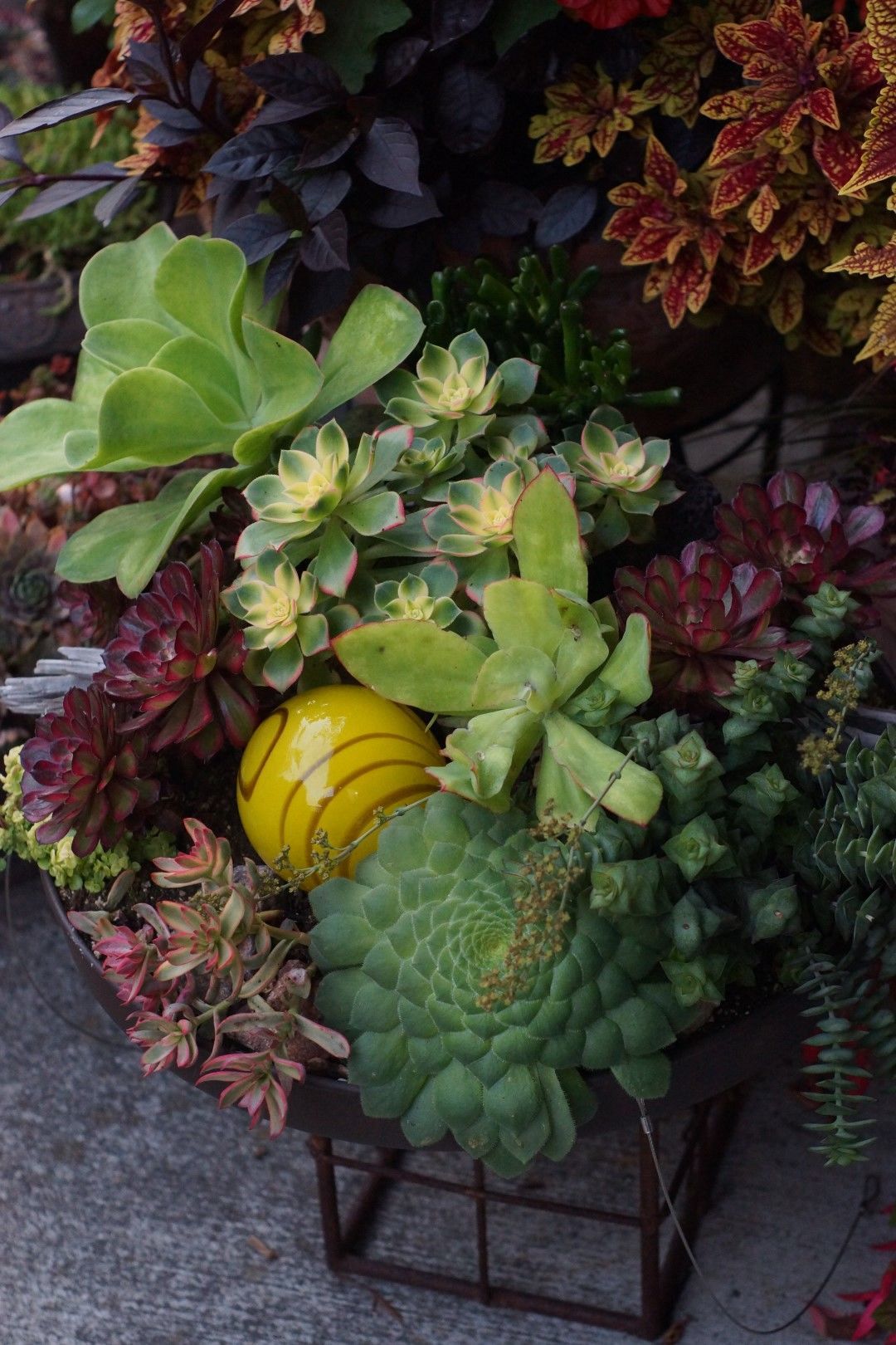 bouquet of succulents