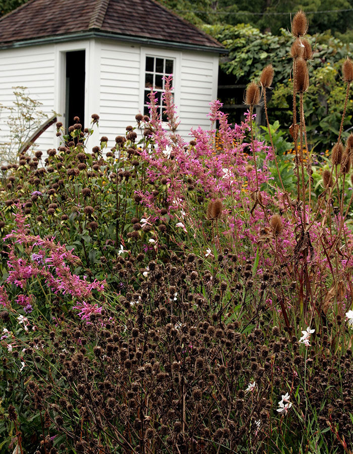 October garden