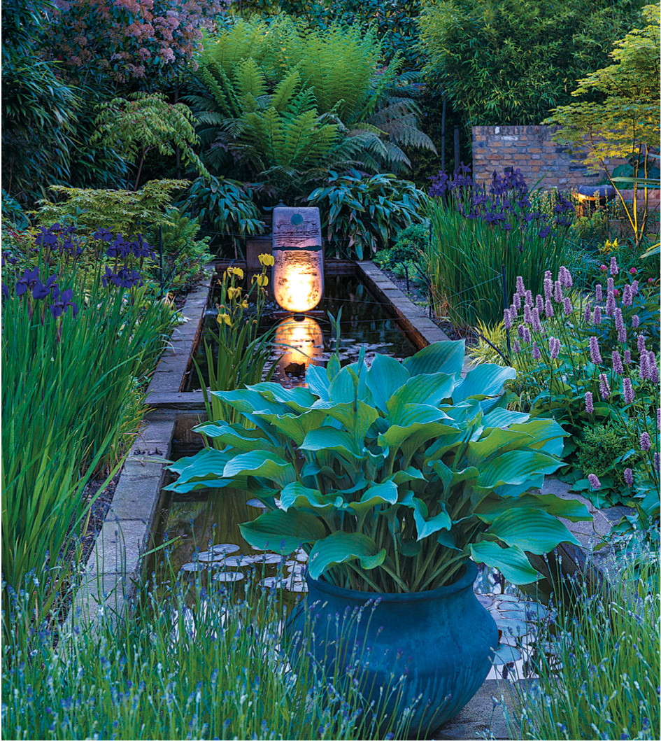 Hosta, Superba’ bistorta, Siberian iris and soon-to-flower lavender surround a light fixture and water feature