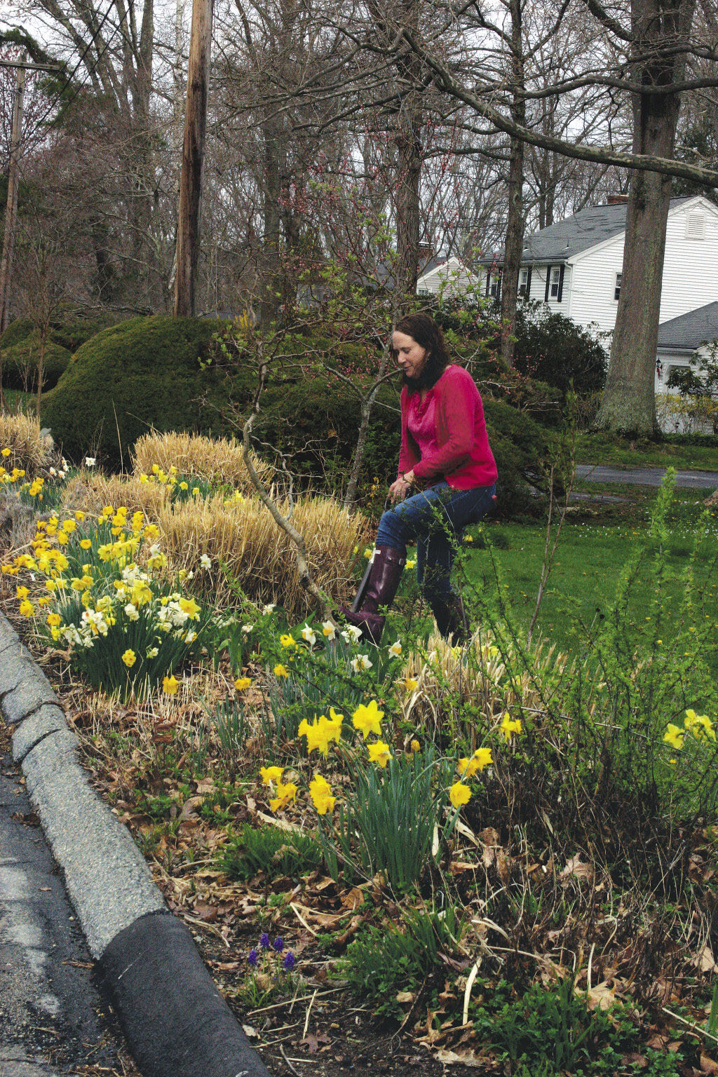 Woman out in the garden with a shovel ready to dig and divide