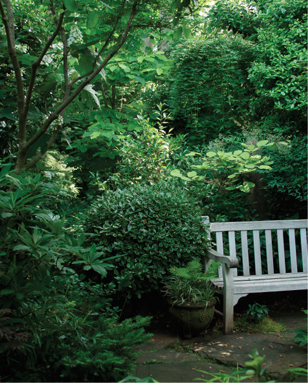 green-and-white plant palette next to a bench