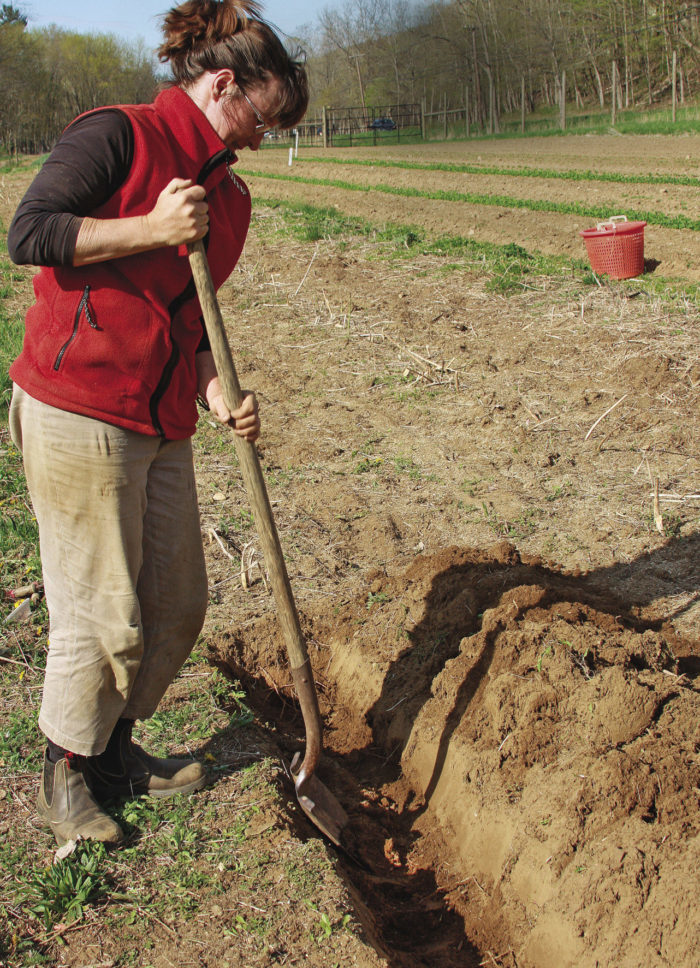 digging a trench