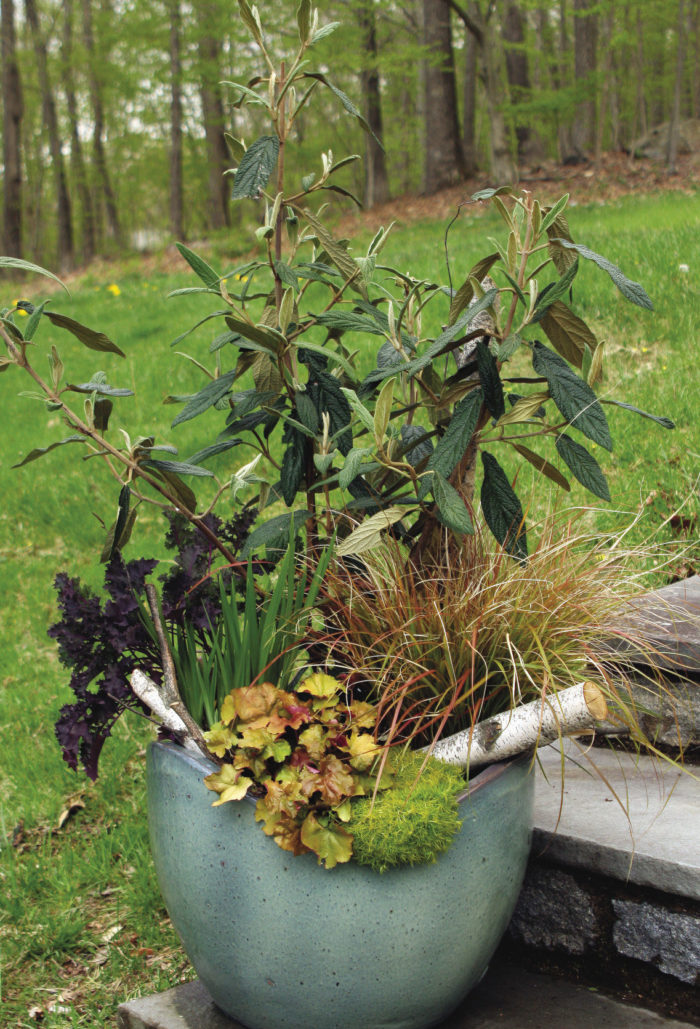 container with viburnums