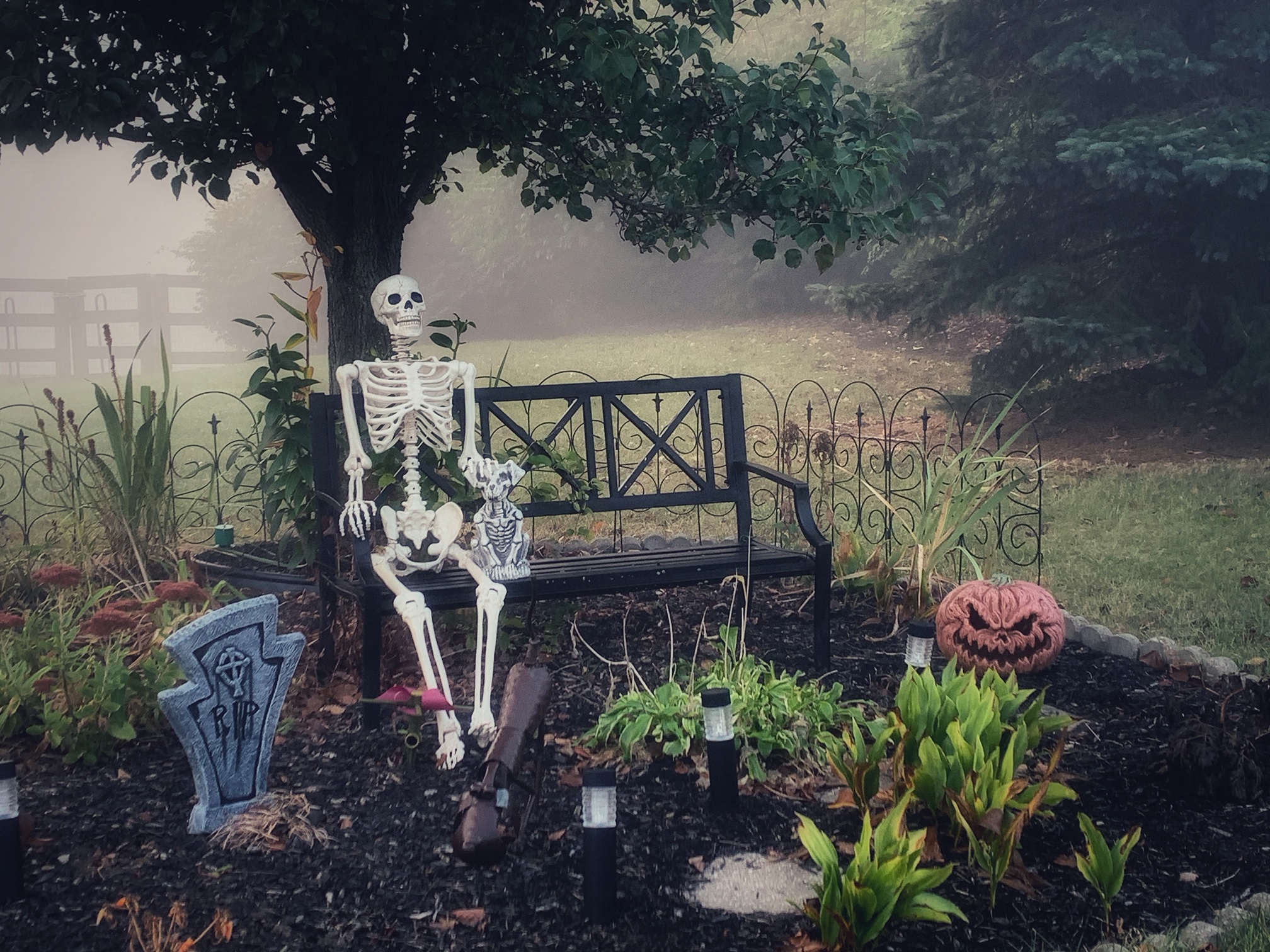 halloween decorations