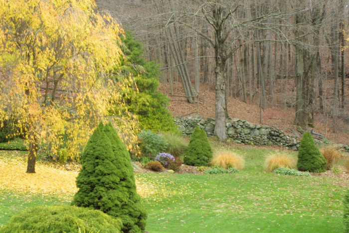 Mid-Atlantic November Garden To-Do List - Fine Gardening