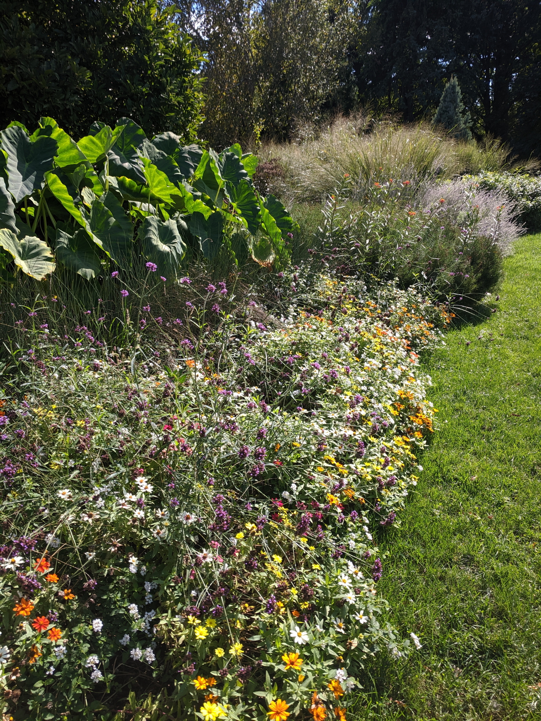 Visiting a Small Botanical Garden - Fine Gardening