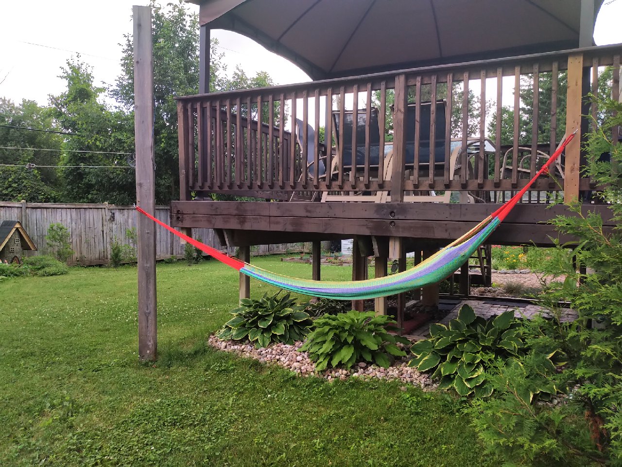 hammock in the garden