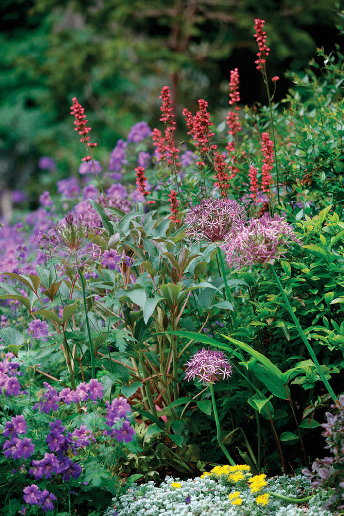 Little Moments Create Interest to the Shade Garden - FineGardening