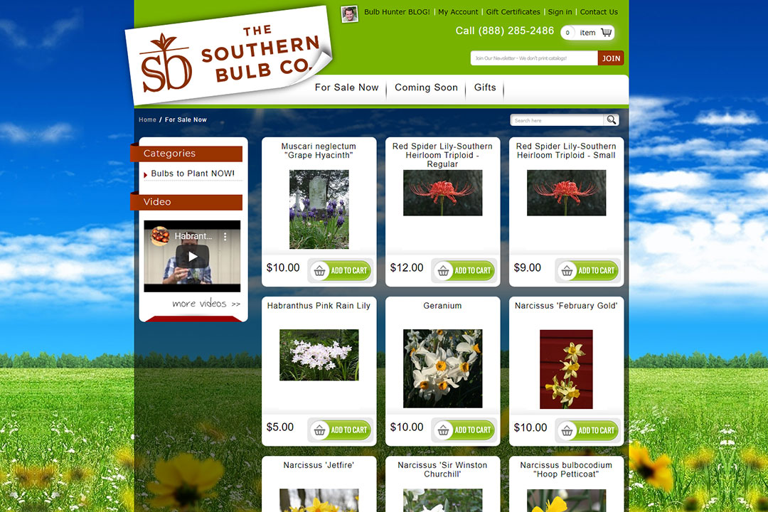 Southern Bulb Company