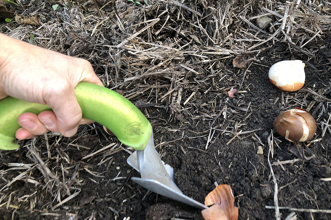 ergonomic trowel