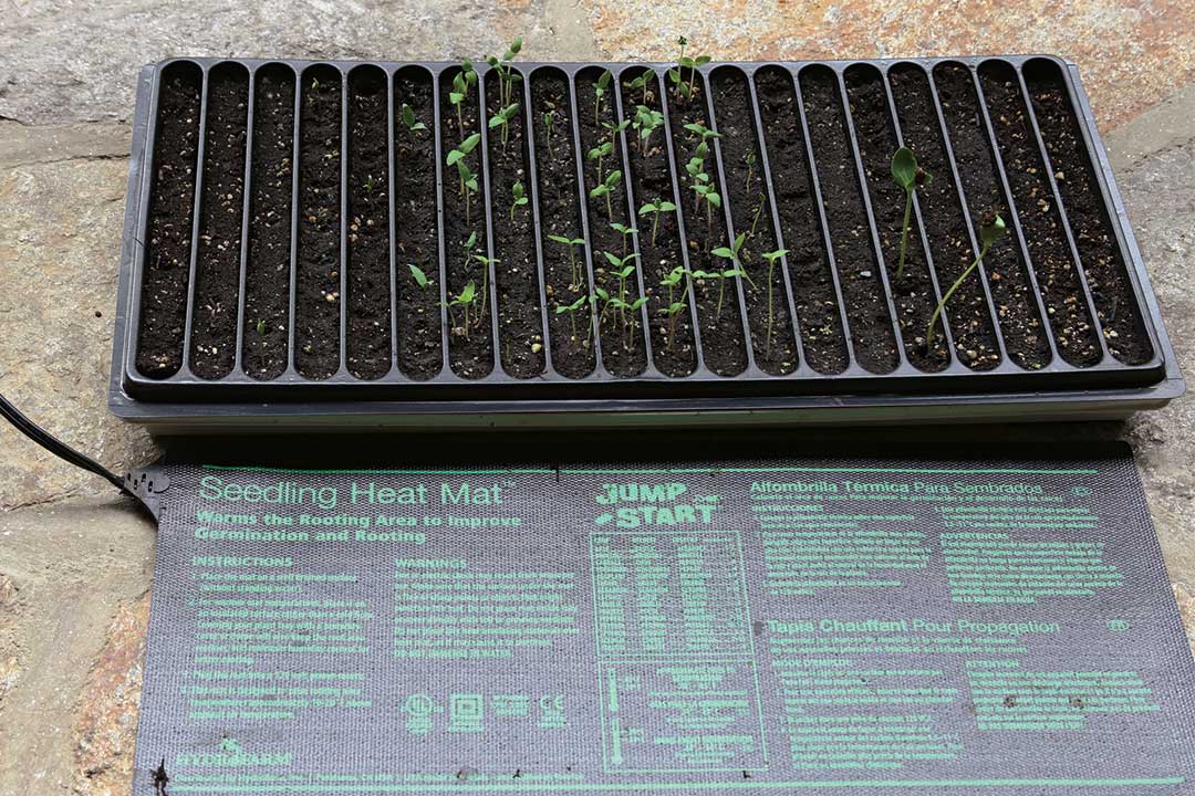 Seedling heating pad mat