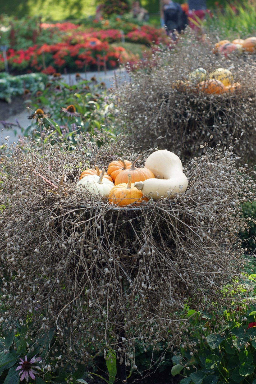 decorative gourds