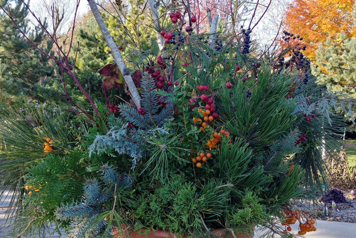 winter container