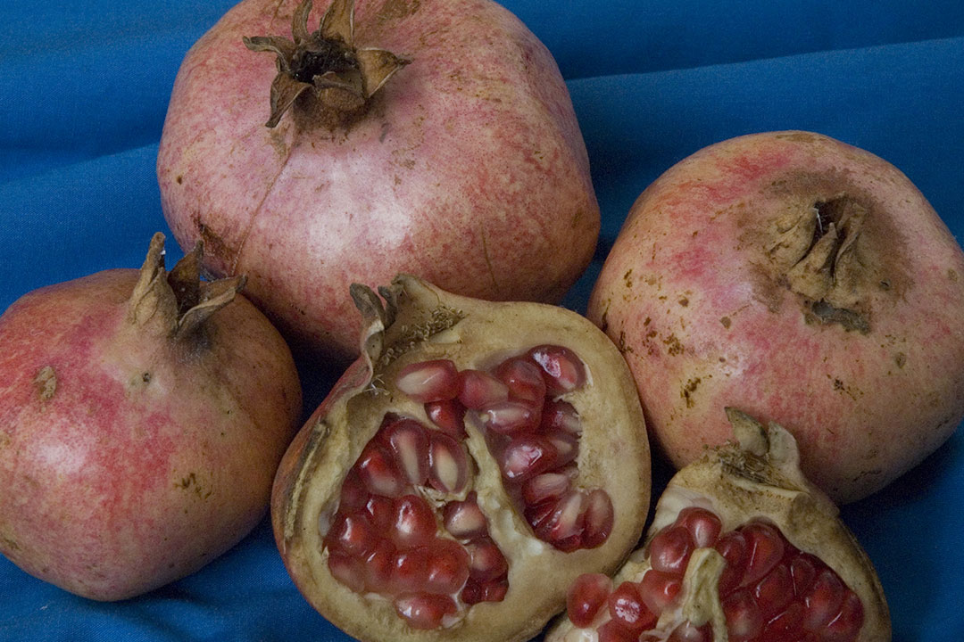 ‘Ambrosia’ pomegranate