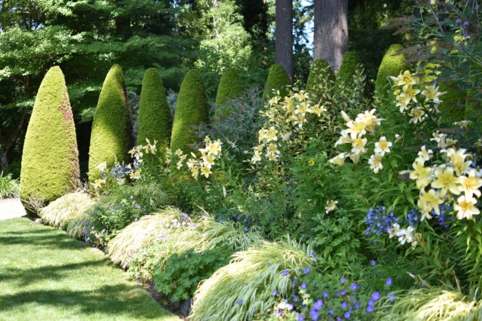 A Long-Lasting and Colorful Front Garden