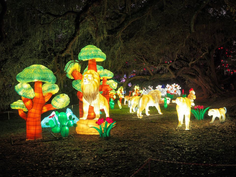 Lights at Magnolia Plantation FineGardening