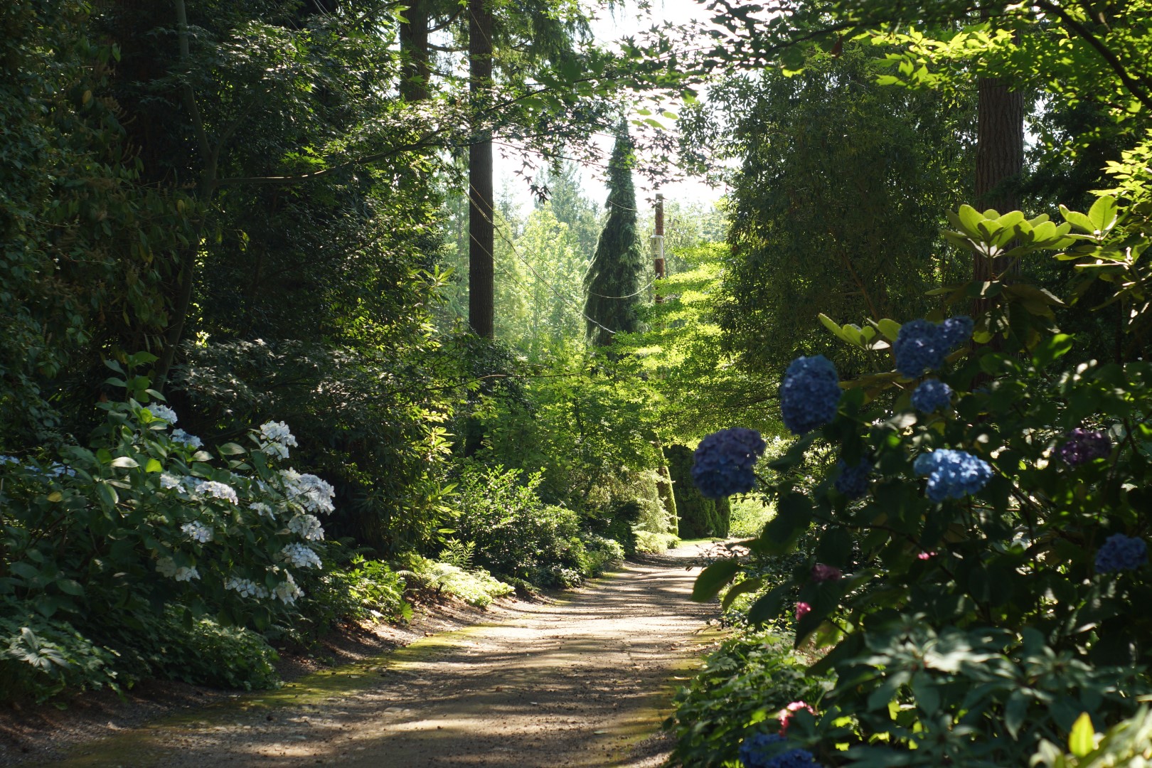 Heronswood Botanical Garden