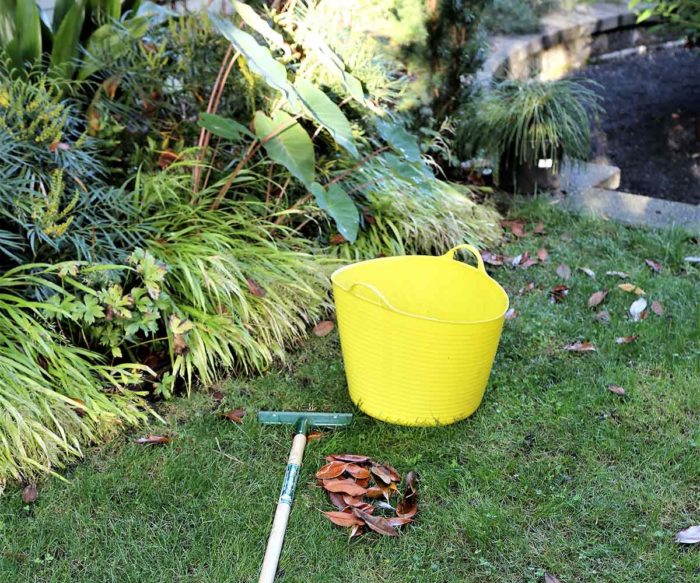 raking fall leaves