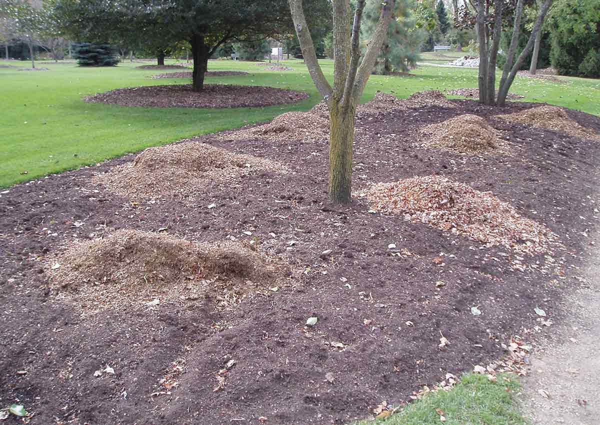 using leaf mulch