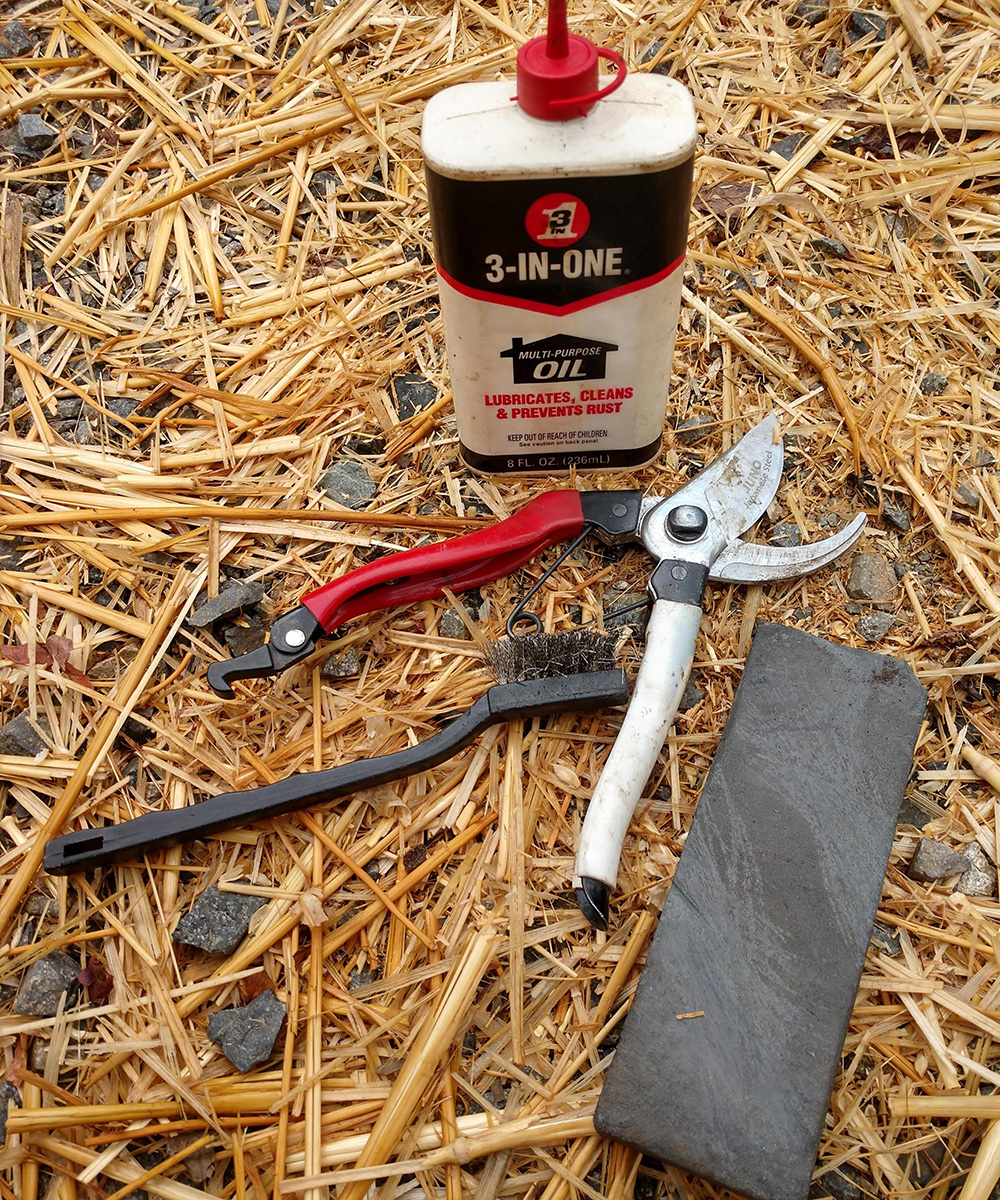 cleaning garden tools