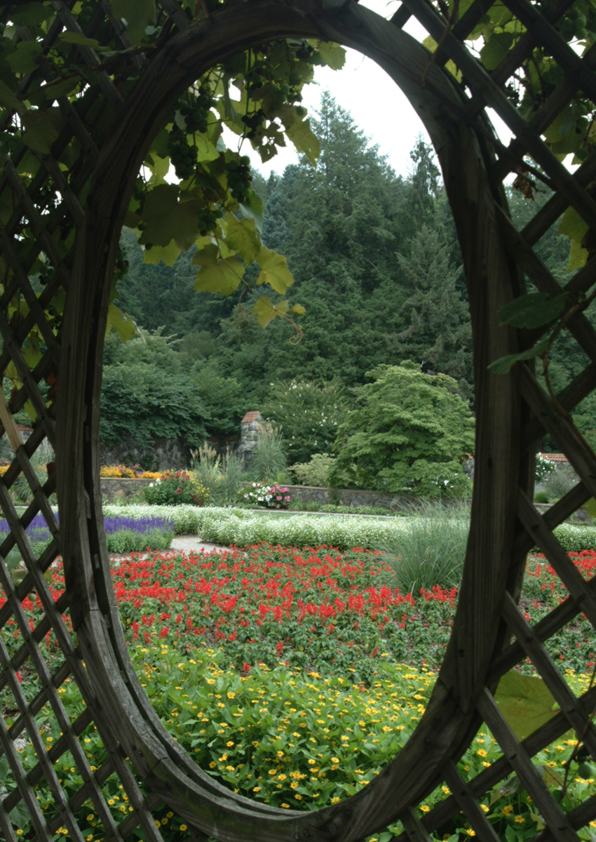 looking at a garden