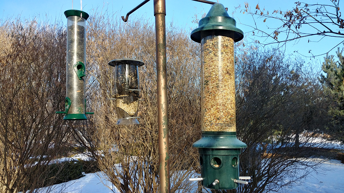 Bird feeders