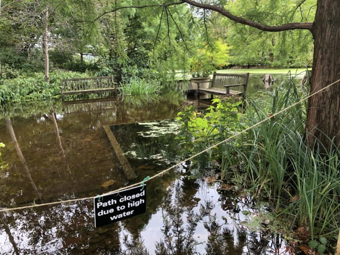 Flooded garden