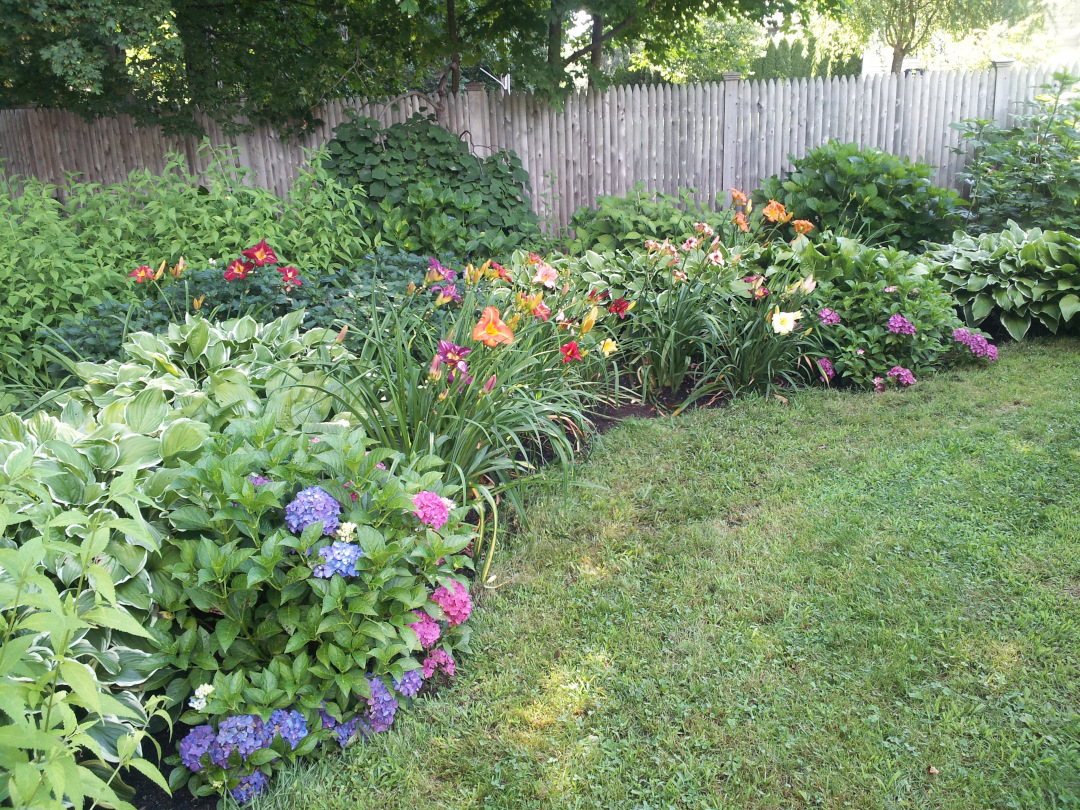 daylily border