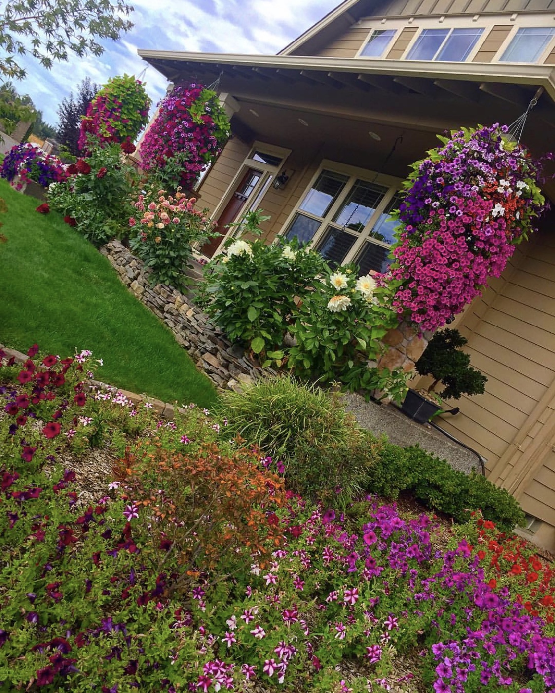 hanging baskets