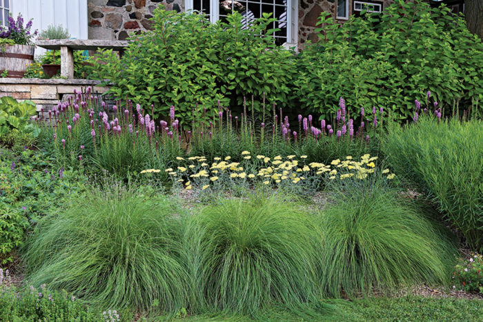 Answers To Common Mass Planting Questions - Finegardening