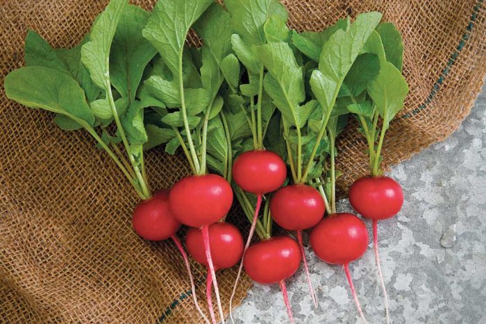 If You Like Heirloom Vegetables, You'll Love These New Varieties -  FineGardening