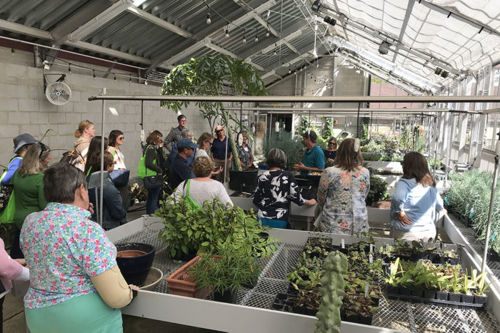 greenhouse tour