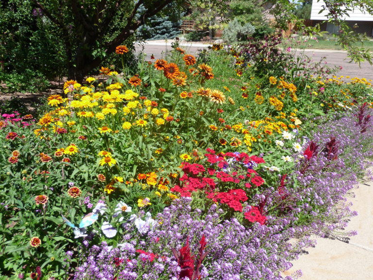 A Wyoming Garden - Fine Gardening