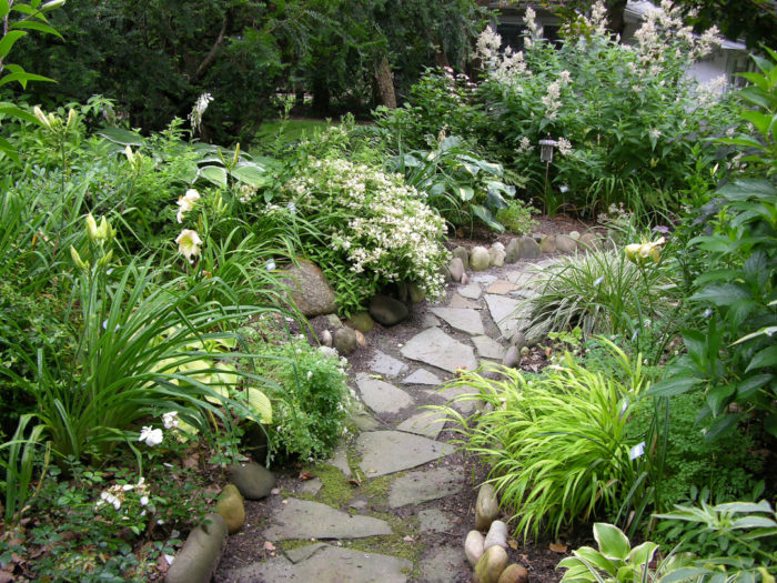 A Seaside Garden - Fine Gardening