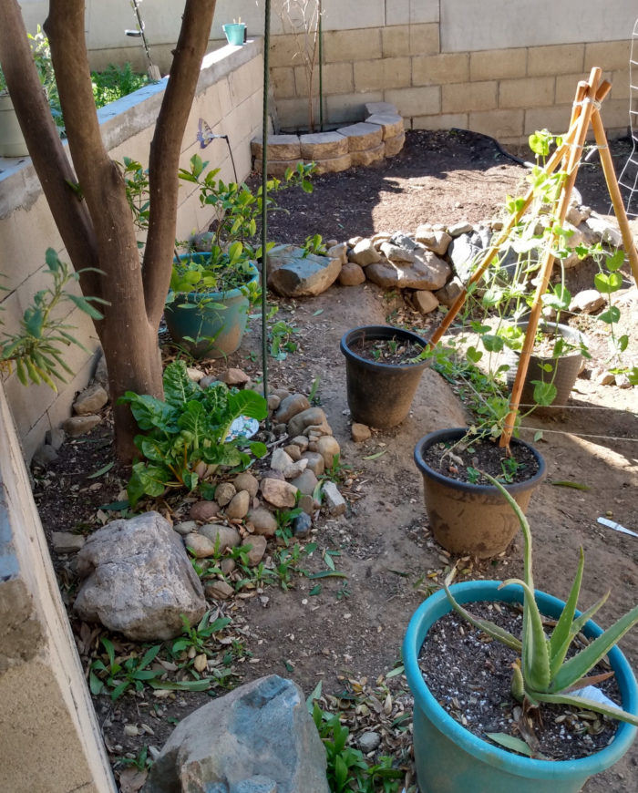 Gardening With a Three-Year-Old Assistant - Fine Gardening