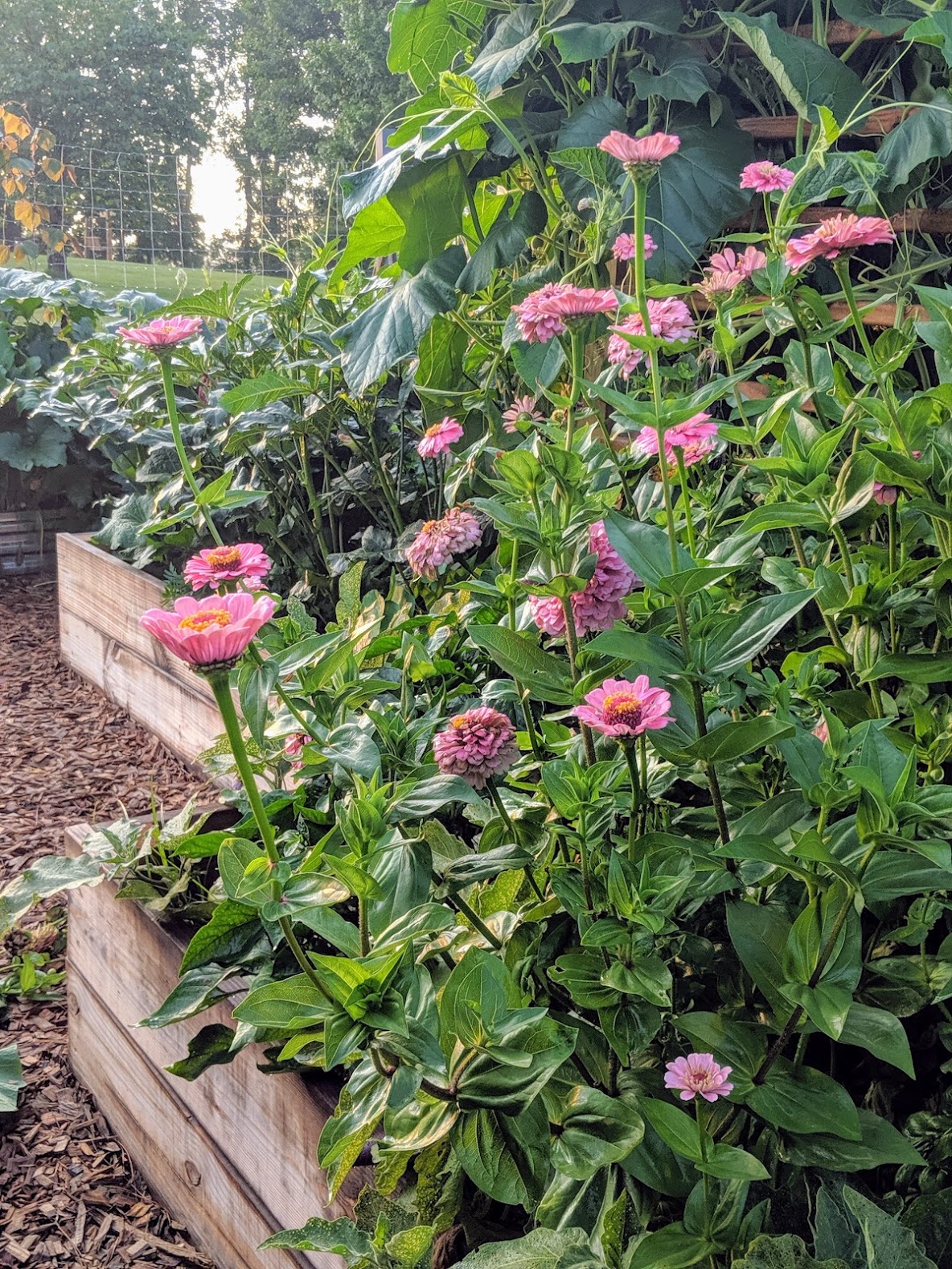 flowers with vegetables