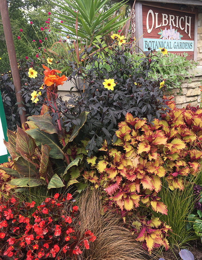 Designing With Red in the Midwest - FineGardening