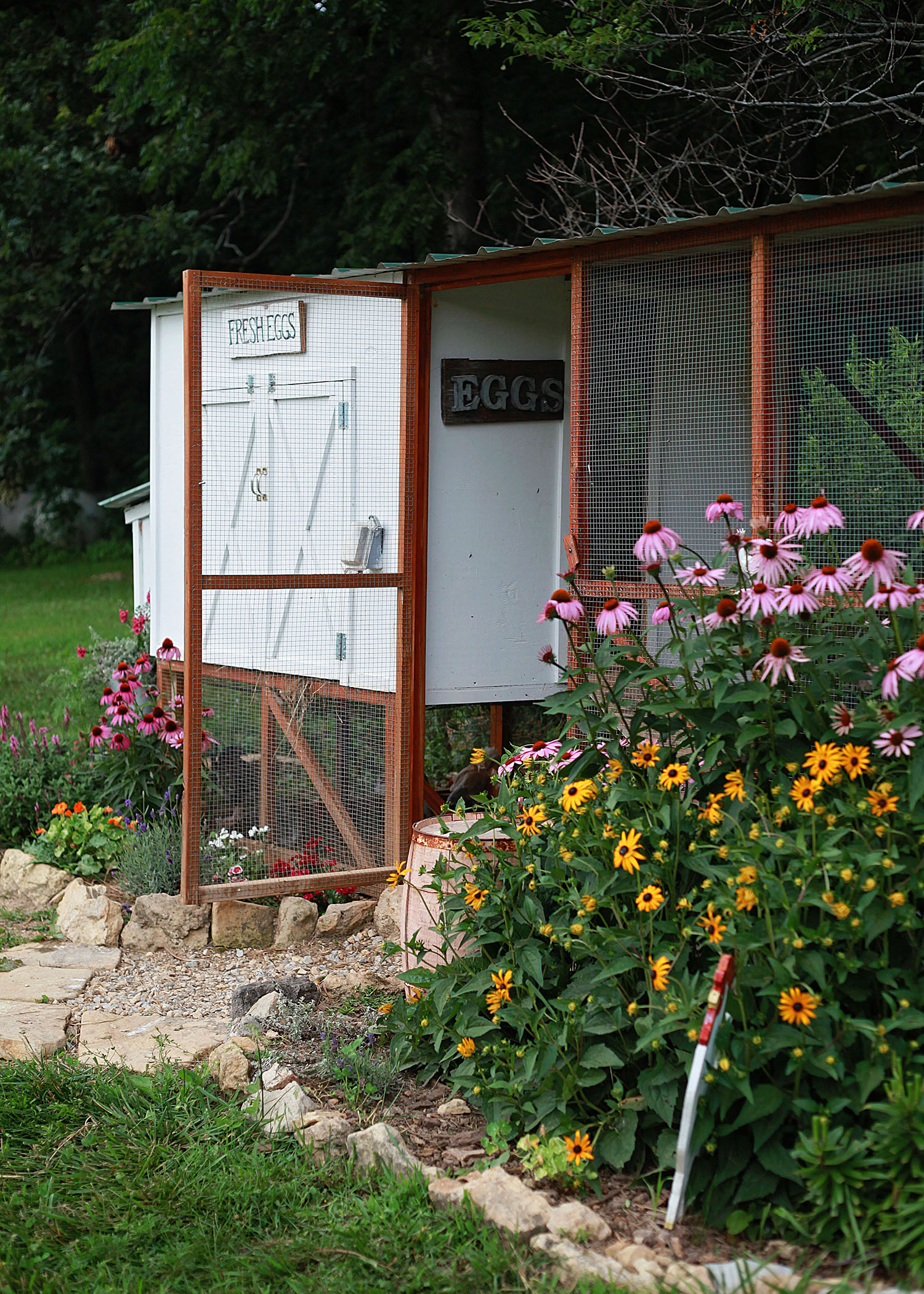 Chicken Coop Garden