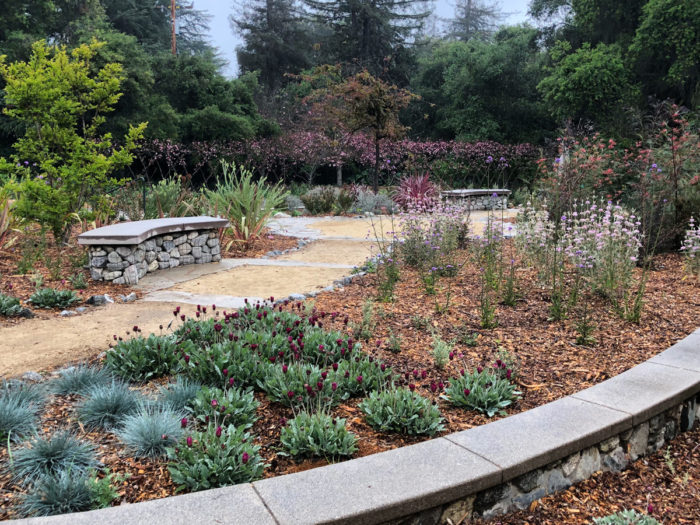 mulched garden