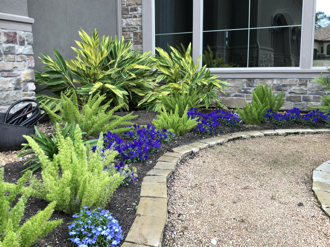 Making Gardens in Texas - FineGardening