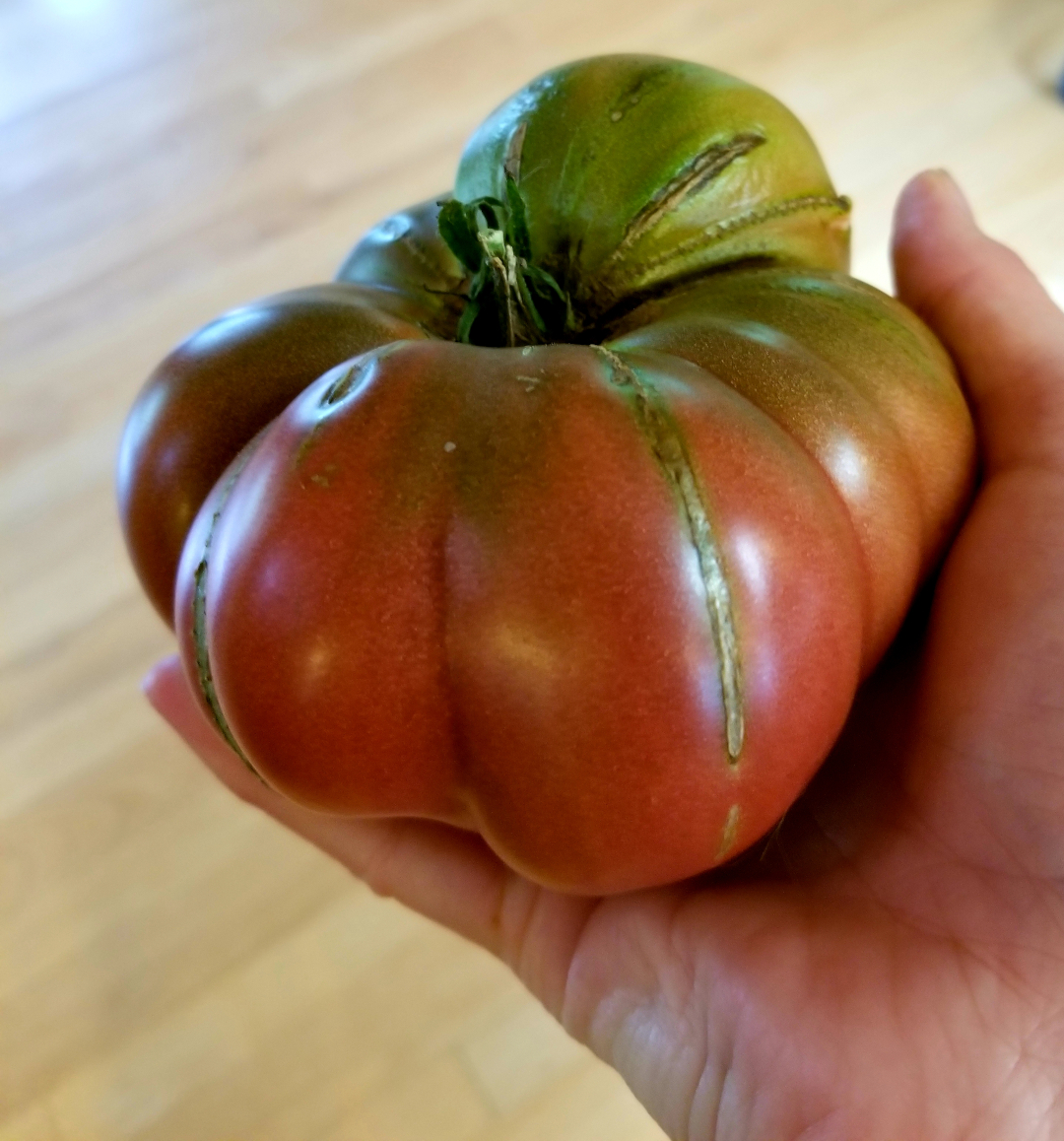 ‘Black’ tomato