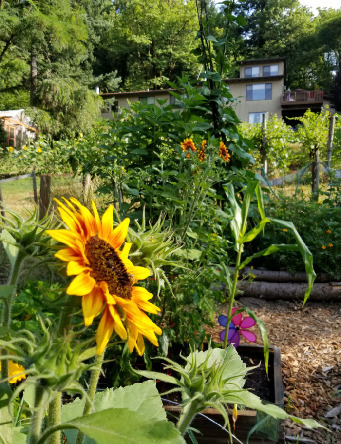 Visiting Soggy Bottom Garden Fine Gardening