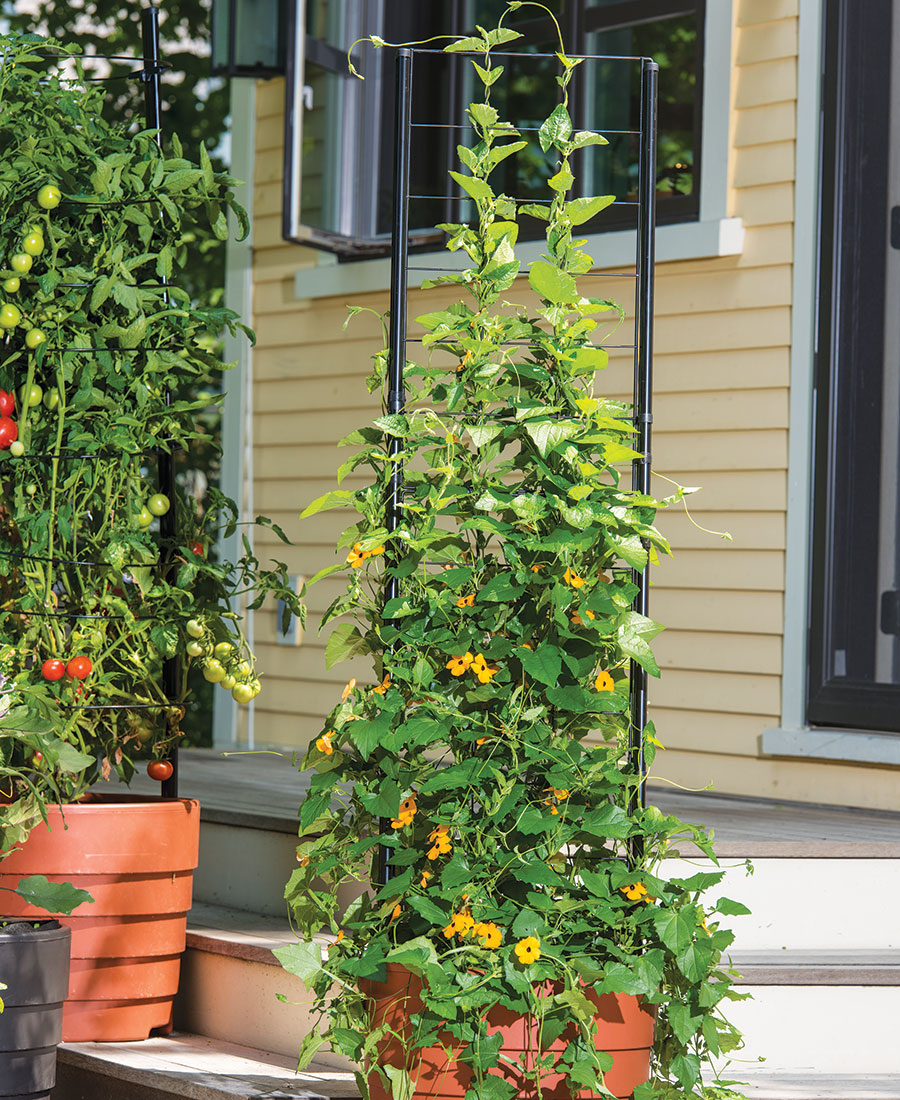 Gardener’s Victory Self-Watering Planter with Vine Trellis