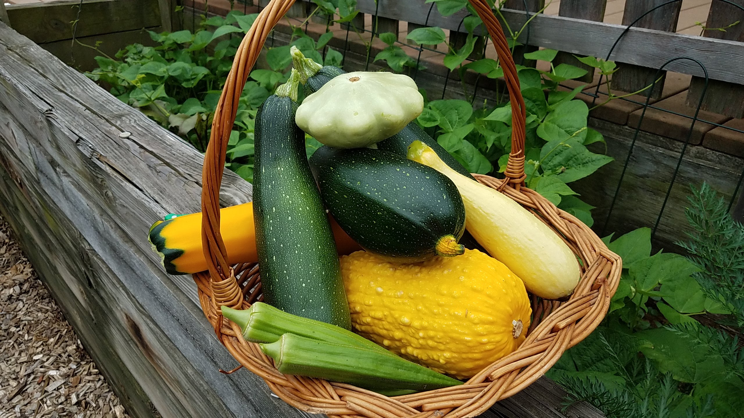 summer squashes