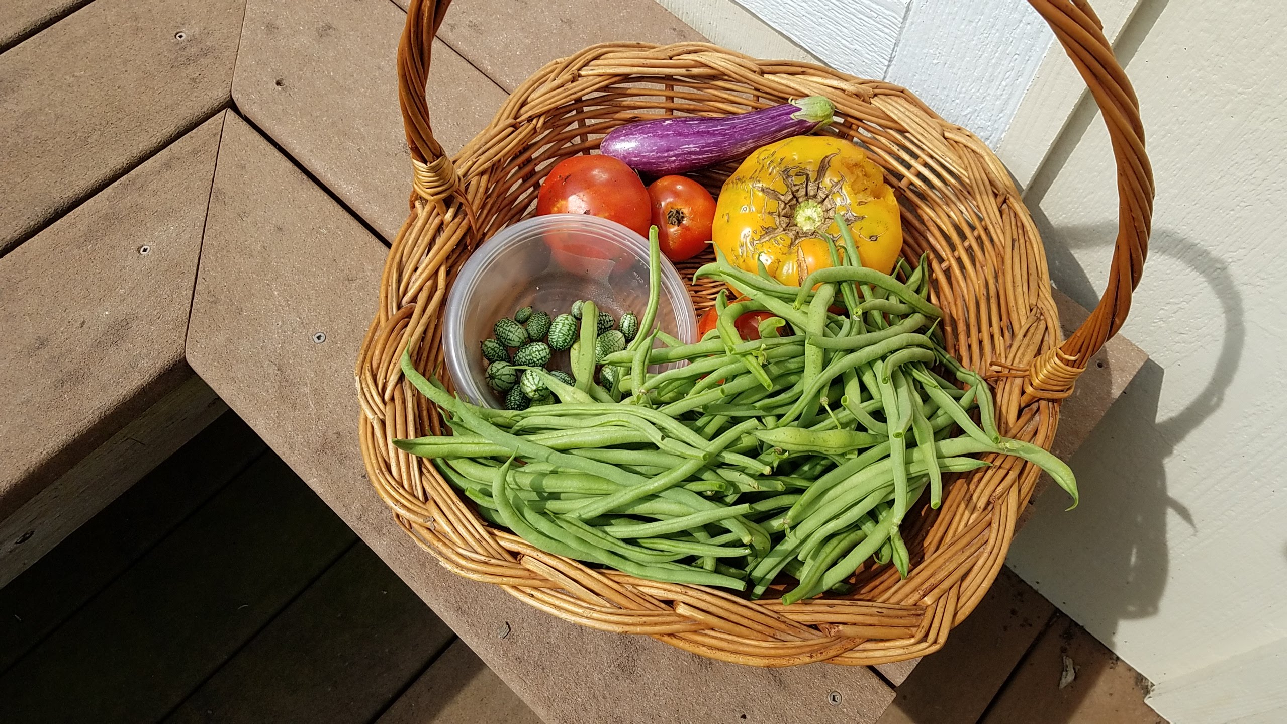 green beans