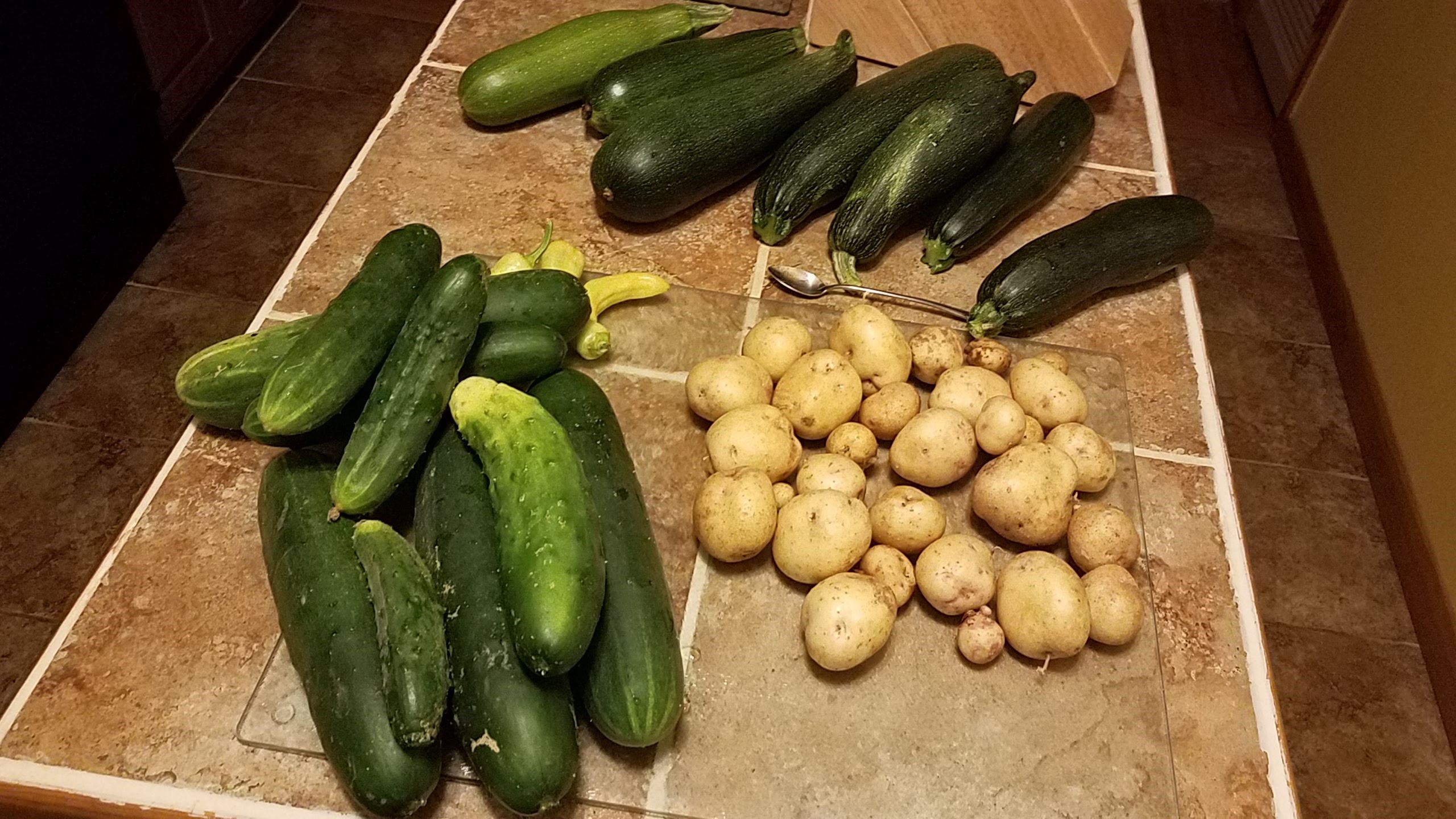 cucumbers