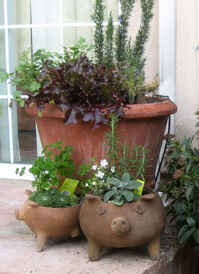 garden containers