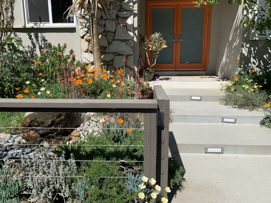 drought-tolerant landscaping